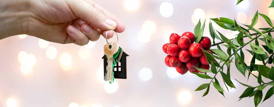 Kokina Çiçeği: Yeni Yılın Gizli Şans Anahtarı