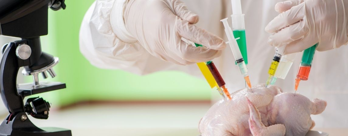 Zehirlenmelere Dikkat: En Büyük Tehlike Salmonella