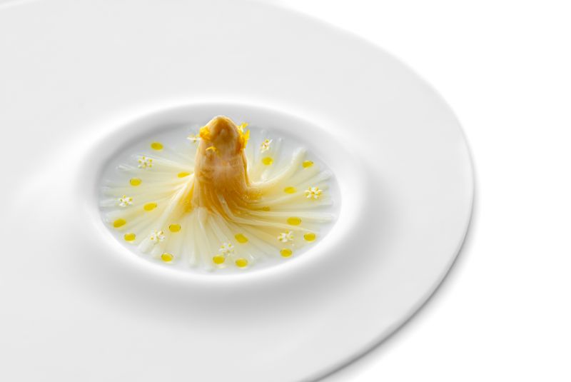 No-34 Enigma – NEW ENTRY Barcelona @enigma_albertadria