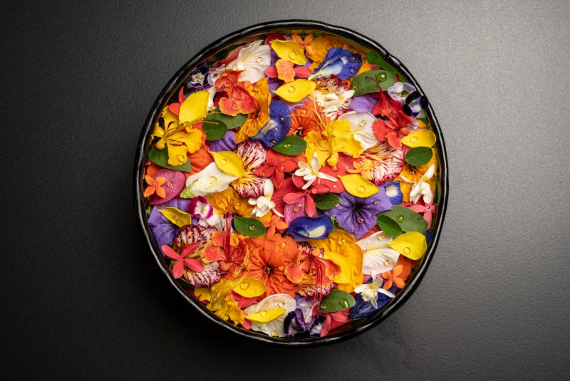 No-48 Celele – NEW ENTRY Cartagena Sustainable Restaurant Award 2025 @celele_restaurante