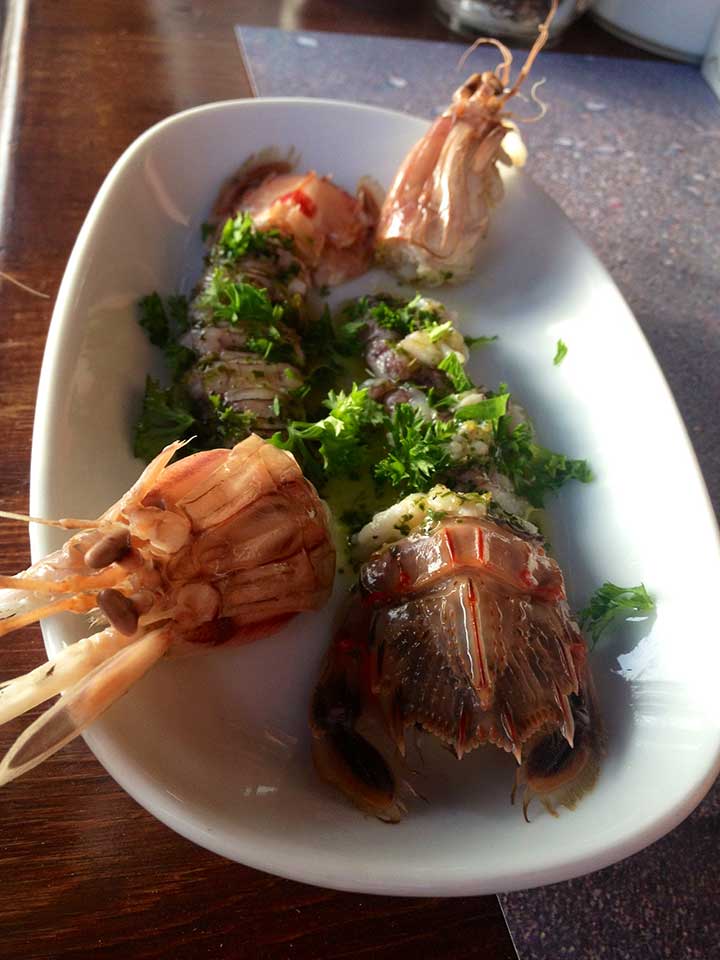 Orfoz – Bodrum Merkez